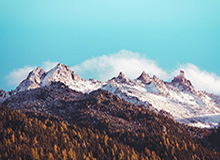 华体会入口-【告别·2020】篮坛巨星陨落 告别竟是2020的主旋律