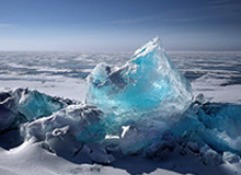 华体会在线-掘金121-115力擒猛龙 约基奇22+8+9穆雷31+6